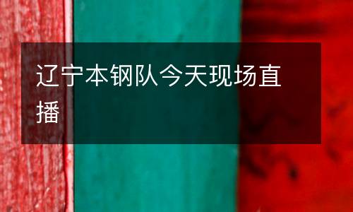 遼寧本鋼隊(duì)今天現(xiàn)場(chǎng)直播