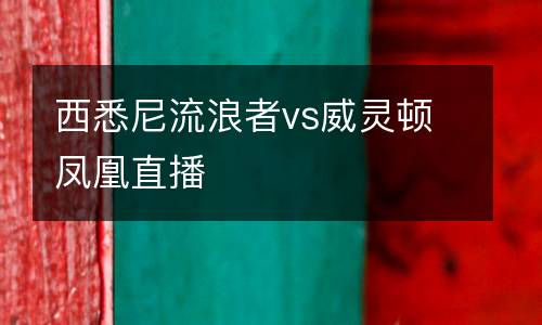 西悉尼流浪者vs威靈頓鳳凰直播